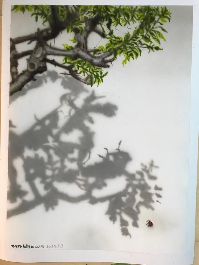 Veada Kioto Exterior foto